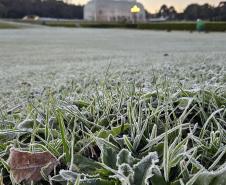 Com -7,8°C, quarta-feira teve menor temperatura do ano no Paraná e geada na Capital