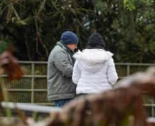 83 horas abaixo de 10°C: Curitiba chegou perto do frio recorde de 2013 nesta semana.