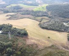 Operação de combate ao desmatamento em 12 cidades aplica R$ 4,6 milhões em multas