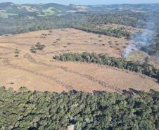 Operação de combate ao desmatamento em 12 cidades aplica R$ 4,6 milhões em multas