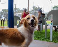 CastraPet vai estrear em 84 municípios do Paraná durante o 5º ciclo