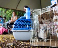 CastraPet vai estrear em 84 municípios do Paraná durante o 5º ciclo