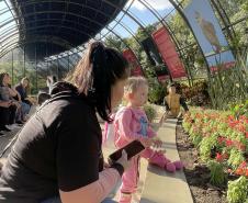 Exposição sobre fauna ameaçada atrai turistas ao Jardim Botânico de Curitiba
