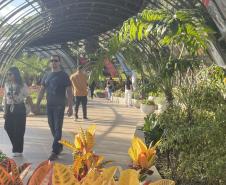 Exposição sobre fauna ameaçada atrai turistas ao Jardim Botânico de Curitiba
