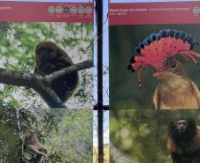 Exposição sobre fauna ameaçada atrai turistas ao Jardim Botânico de Curitiba