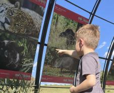 Exposição sobre fauna ameaçada atrai turistas ao Jardim Botânico de Curitiba