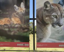 Exposição sobre fauna ameaçada atrai turistas ao Jardim Botânico de Curitiba