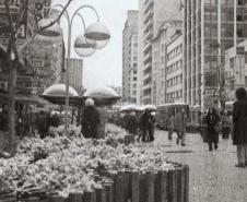 Há 50 anos, Curitiba ficava toda branca: Simepar explica o fenômeno da neve de 1975