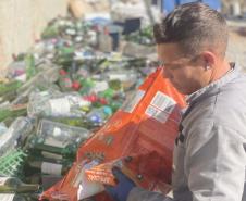 Com índice de 56,8%, Paraná é o estado que mais recicla embalagens de vidro