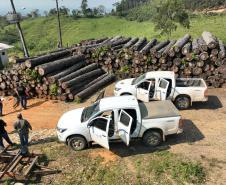 Estado investe R$ 24 milhões em carros para fiscalização ambiental e projeto de observação de pássaros