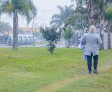 Julho começa com temperaturas negativas no Paraná, registra o Simepar