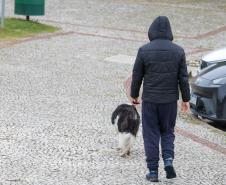 Após extremos nas temperaturas, Paraná terá frio até terça-feira, indica Simepar