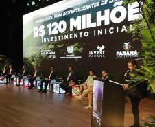 Banco Verde: Paraná lança plataforma para investidores apoiarem projetos ambientais