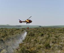 IAT promove restauração ambiental do Parque do Cerrado por meio da queima controlada
