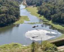 IAT promove restauração ambiental do Parque do Cerrado por meio da queima controlada