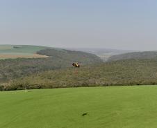 IAT promove restauração ambiental do Parque do Cerrado por meio da queima controlada