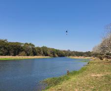 IAT promove restauração ambiental do Parque do Cerrado por meio da queima controlada