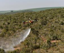 IAT promove restauração ambiental do Parque do Cerrado por meio da queima controlada