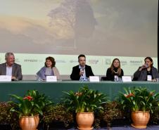 Crédito de biodiversidade do Paraná é destaque na Conferência da Mata Atlântica