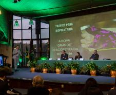 Conferência da Mata Atlântica se encerra com compromissos ambientais