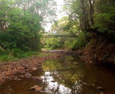 Natureza em Mato Rico (PR)