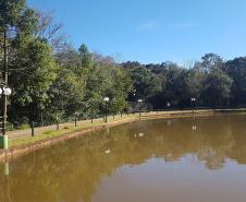 Natureza em Mato Rico (PR)