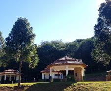 Natureza em Mato Rico (PR)