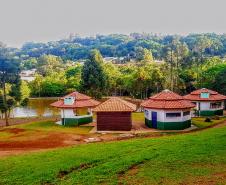 Natureza em Mato Rico (PR)