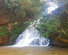 Natureza em Mato Rico (PR)