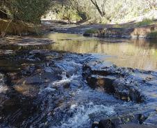 Natureza em Mato Rico (PR)