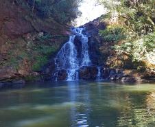 Natureza em Mato Rico (PR)