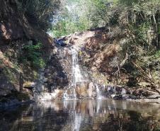 Natureza em Mato Rico (PR)