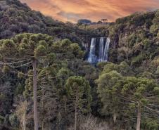 Conferência da Mata Atlântica vai aprofundar discussões sobre clima e economia verde