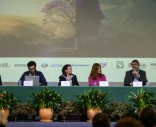 Crédito de biodiversidade do Paraná é destaque na Conferência da Mata Atlântica
