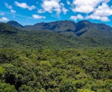 Conferência da Mata Atlântica debaterá enfrentamento às mudanças climáticas
