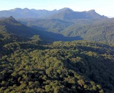 Conferência da Mata Atlântica debaterá enfrentamento às mudanças climáticas