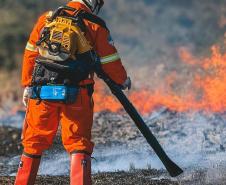 Quase 1,6 mil pessoas integram os programas de voluntariado