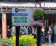Consulta pública sobre Plano de Descarbonização da Economia Paranaense segue aberta