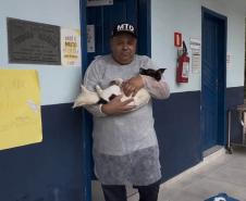 Passagem extra do CastraPet Paraná pela Ilha do Mel beneficia 102 animais