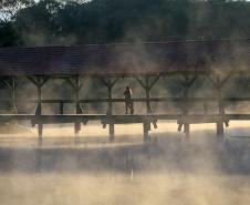 Paraná teve inverno mais frio do que anos anteriores e com chuva irregular 