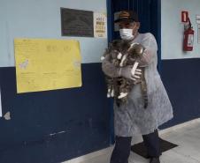 Passagem extra do CastraPet Paraná pela Ilha do Mel beneficia 102 animais