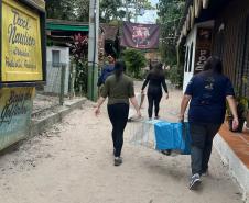 Passagem extra do CastraPet Paraná pela Ilha do Mel beneficia 102 animais