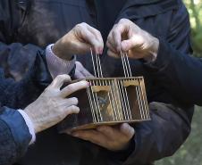 Instrução Normativa elaborada pelo IAT institui o cadastro voluntário de Áreas de Soltura de Animais Silvestres (ASAS).