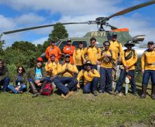 Ação do IAT e Iniciativa Campos Gerais limpa 15 hectares do Parque Pico Paraná