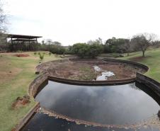Avançam os serviços para revitalização do Jardim Botânico de Londrina