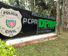 Após denúncia do IAT, PCPR prende engenheira por fraudes em licenciamentos
