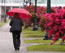 Novembro começa com chuva, mas sol aparece com mais frequência na segunda quinzena