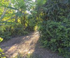 Parque Estadual de Amaporã volta a receber visitantes sem agendamento prévio