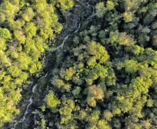 Parque Estadual de Amaporã volta a receber visitantes sem agendamento prévio