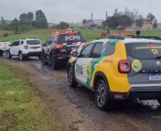PCPR, PMPR e IAT prendem mulher por tráfico de animais e uso de documentos falsos em Guarapuava Foto: PCPR